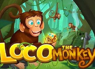 Loco the Monkey